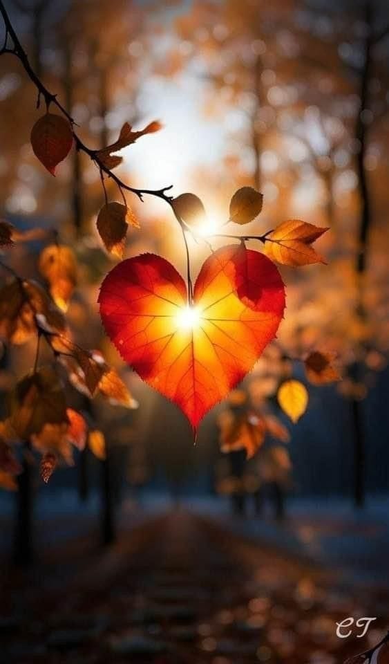 Esperanza y renovación